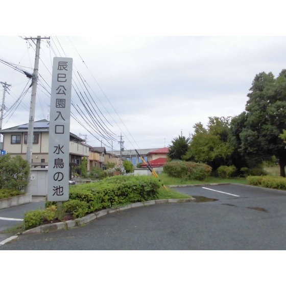公園　辰巳公園（公園）まで865m