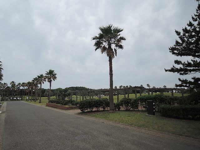 その他　辻堂海浜公園