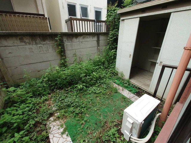 庭
