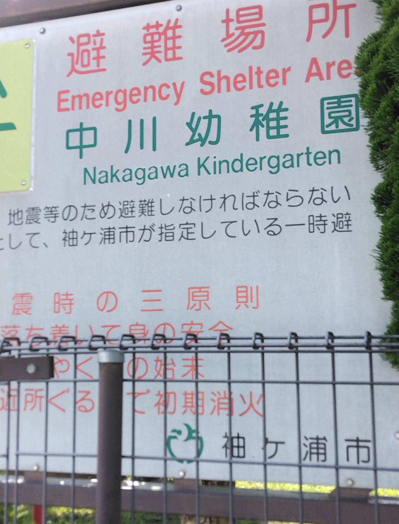 幼稚園・保育園　中川幼稚園（幼稚園・保育園）まで450m