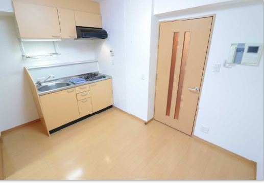 居室・リビング　＊同物件、別部屋になります。