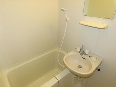 バス・シャワールーム　洗面台とユニット式のお風呂です