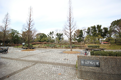 【チェスナット西大島の公園】