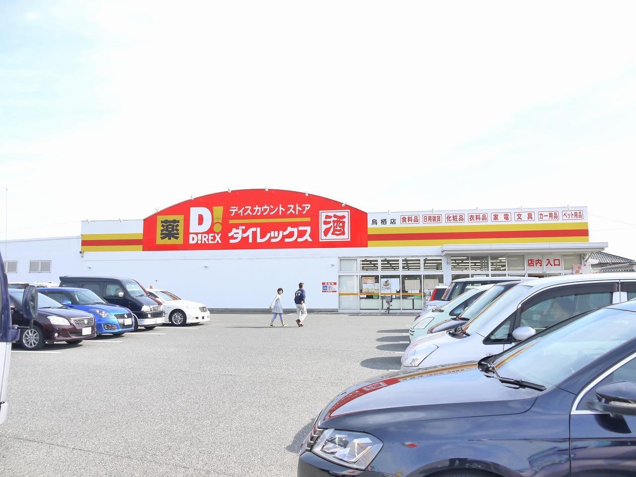 その他　ダイレックス（その他）まで1100m