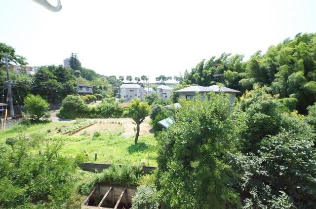 眺望　空気キレイ