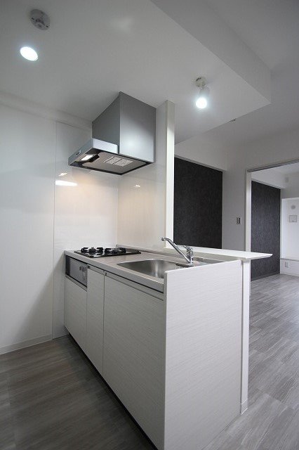 キッチン　同物件、別号室のものです。