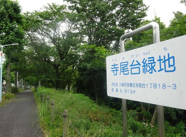 公園　寺尾台緑地（公園）まで770m