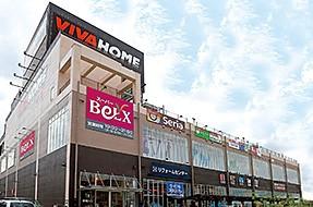 スーパー　ベルクス　足立神明店（スーパー）まで214m