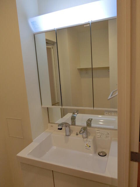 洗面設備　Bタイプ2015年1月撮影