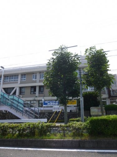 警察署・交番　昭和警察署（警察署・交番）まで1977m