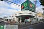 スーパー　マルエツ松原店（スーパー）まで889m