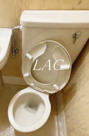 トイレ　トイレです。