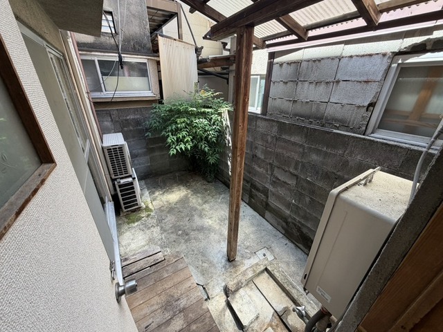 庭