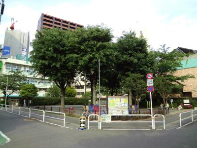 公園　平塚中央公園（公園）まで113m