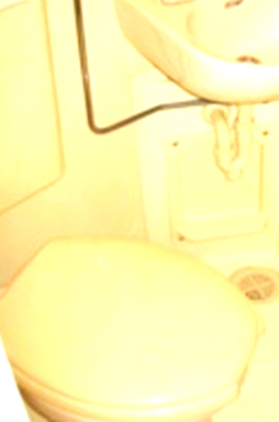 トイレ　トイレです