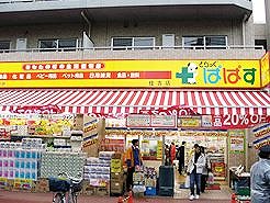 ドラックストア　どらっぐぱぱす住吉店（ドラッグストア）まで341m