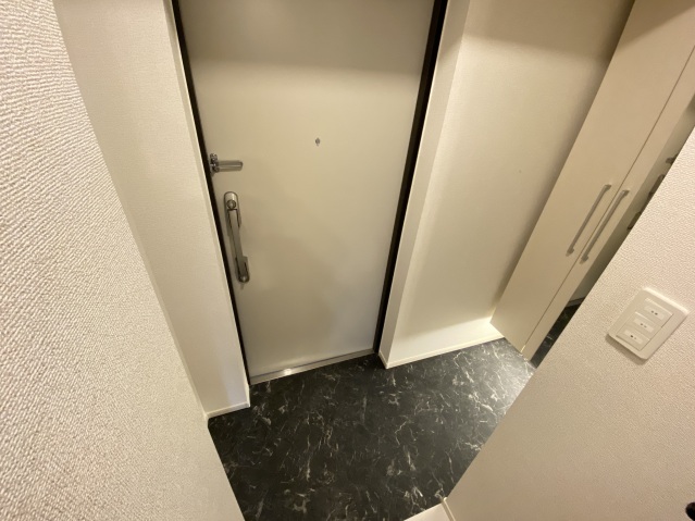 玄関　同型タイプ