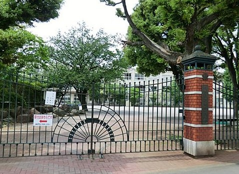 小学校　板橋区立 板橋第十小学校（小学校）まで686m