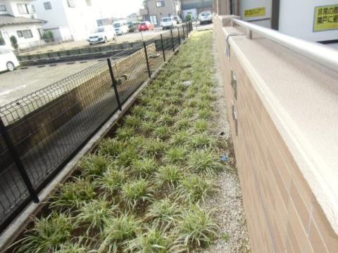 庭　庭（イメージ）