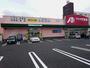 ドラックストア　クスリのアオキ女池店（ドラッグストア）まで636m