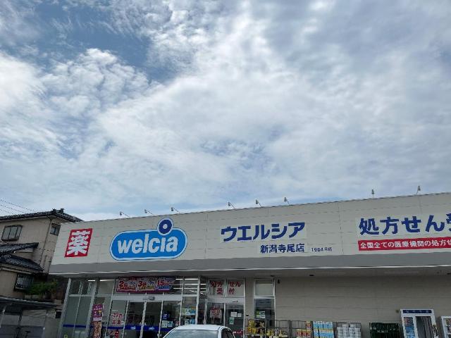その他　ウエルシア　寺尾店まで350ｍ