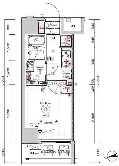 葛飾区堀切のマンションの間取り