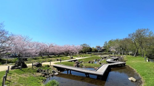 【アレグリアの公園】