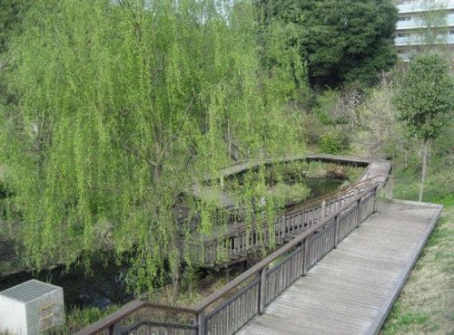 公園　宮前美しの森公園（公園）まで453m