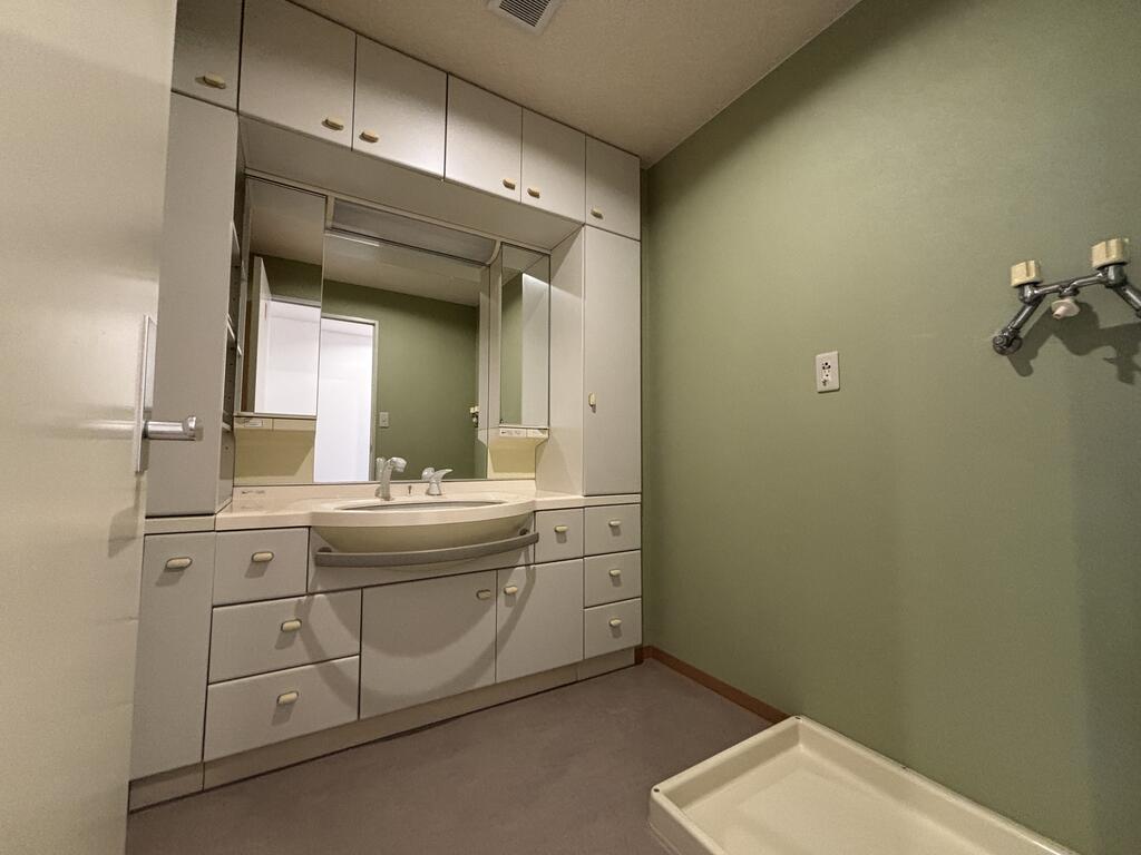 洗面設備　たっぷり収納できます