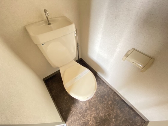 トイレ　※別号室の写真です