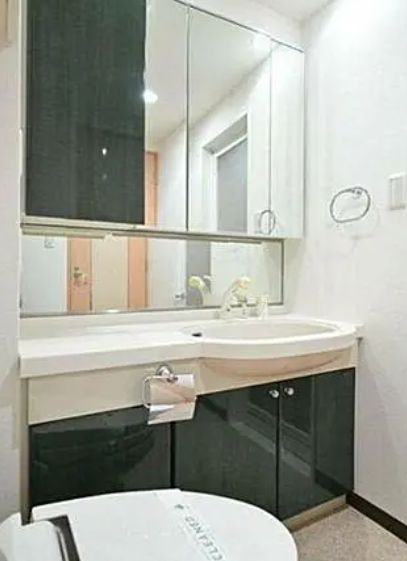 洗面設備　※別部屋参考写真