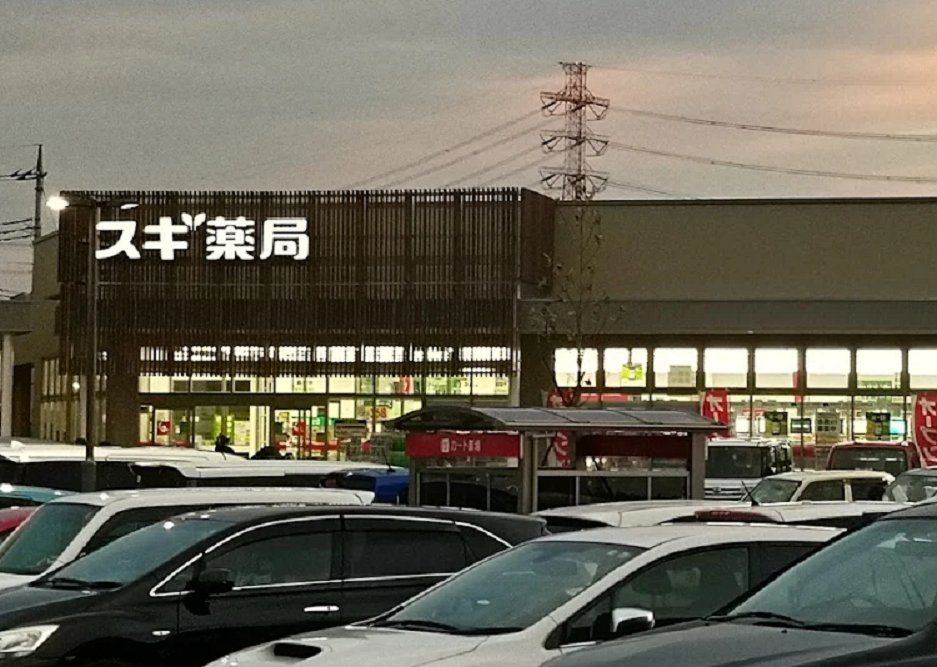 ドラックストア　スギ薬局フレスポ桶川店（ドラッグストア）まで800m