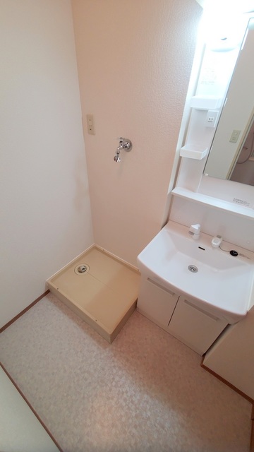 洗面設備　★※別号室の写真です　シャンプードレッサー★