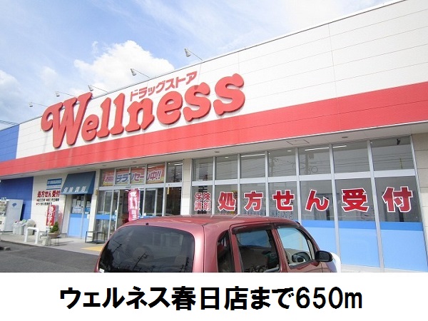 ドラックストア　ウェルネス春日店（ドラッグストア）まで650m
