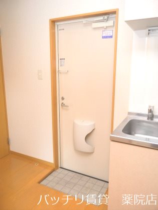 玄関　※同型タイプの為、現状を優先いたします