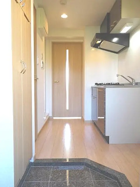 玄関　※他のお部屋の写真です。