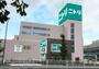 ホームセンター　ニトリ大田大鳥居店（ホームセンター）まで1054m