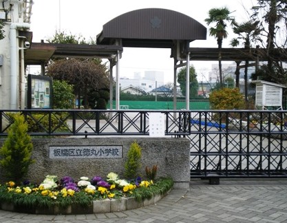 小学校　徳丸小学校（小学校）まで262m