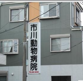 病院　市川動物病院（病院）まで317m