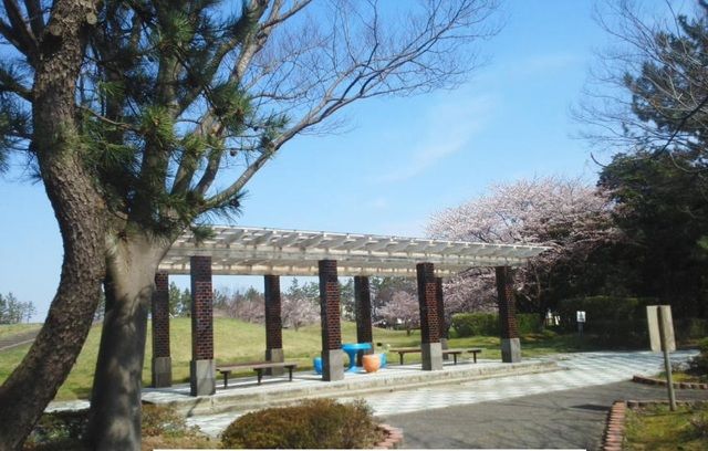 公園　津島屋公園（公園）まで10m