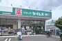 ドラックストア　ドラッグセイムス 世田谷船橋店（ドラッグストア）まで261m