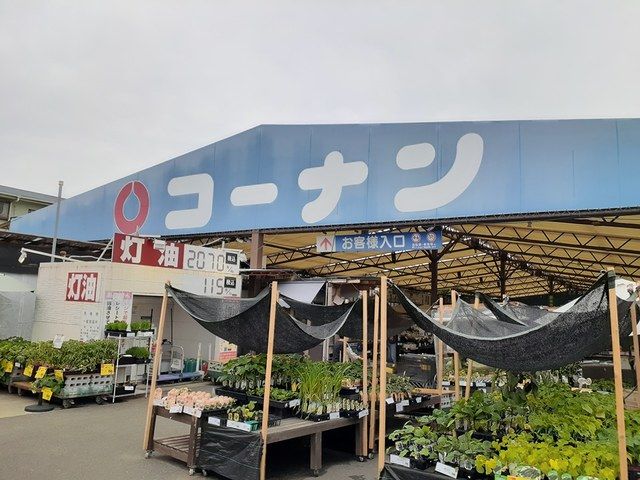ホームセンター　コーナン泉大津店（ホームセンター）まで600m