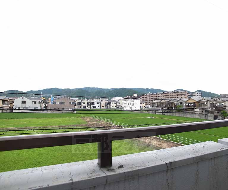 眺望　周辺はのどかな風景が広がります・