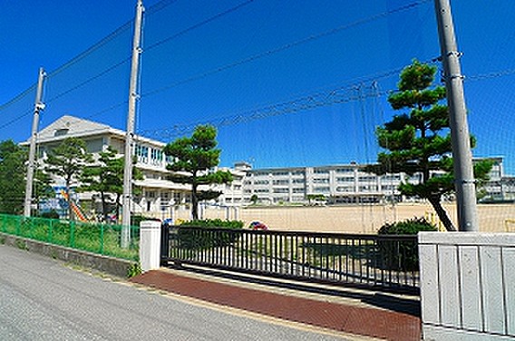 小学校　金沢市立米丸小学校（小学校）まで700m