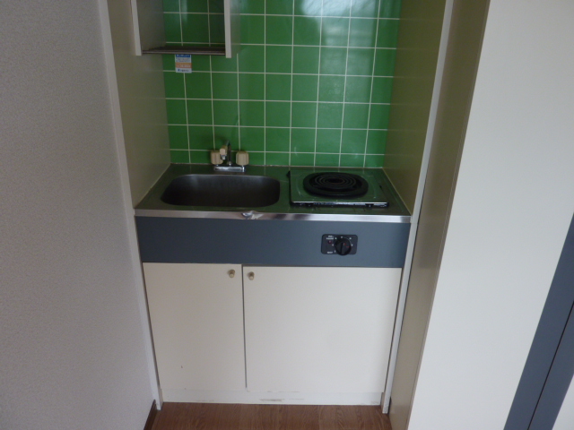 キッチン　P1390236