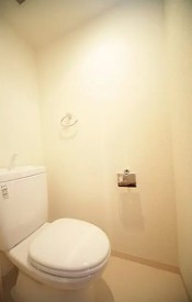 トイレ　同物件別部屋参考写真です。