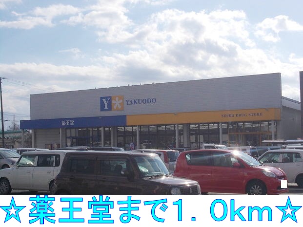 ドラックストア　薬王堂（ドラッグストア）まで1000m
