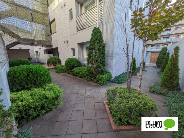 エントランス　植栽が綺麗です