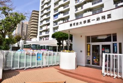 幼稚園・保育園　駿河台大第一幼稚園（幼稚園・保育園）まで664m