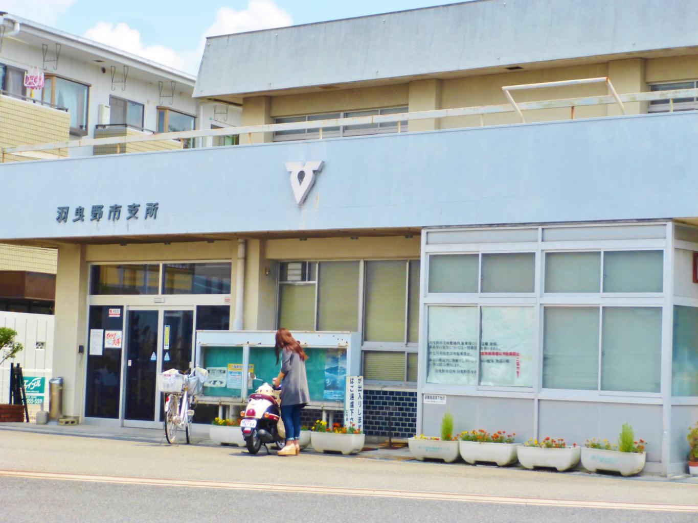 役所　羽曳野市役所 支所（役所）まで671m